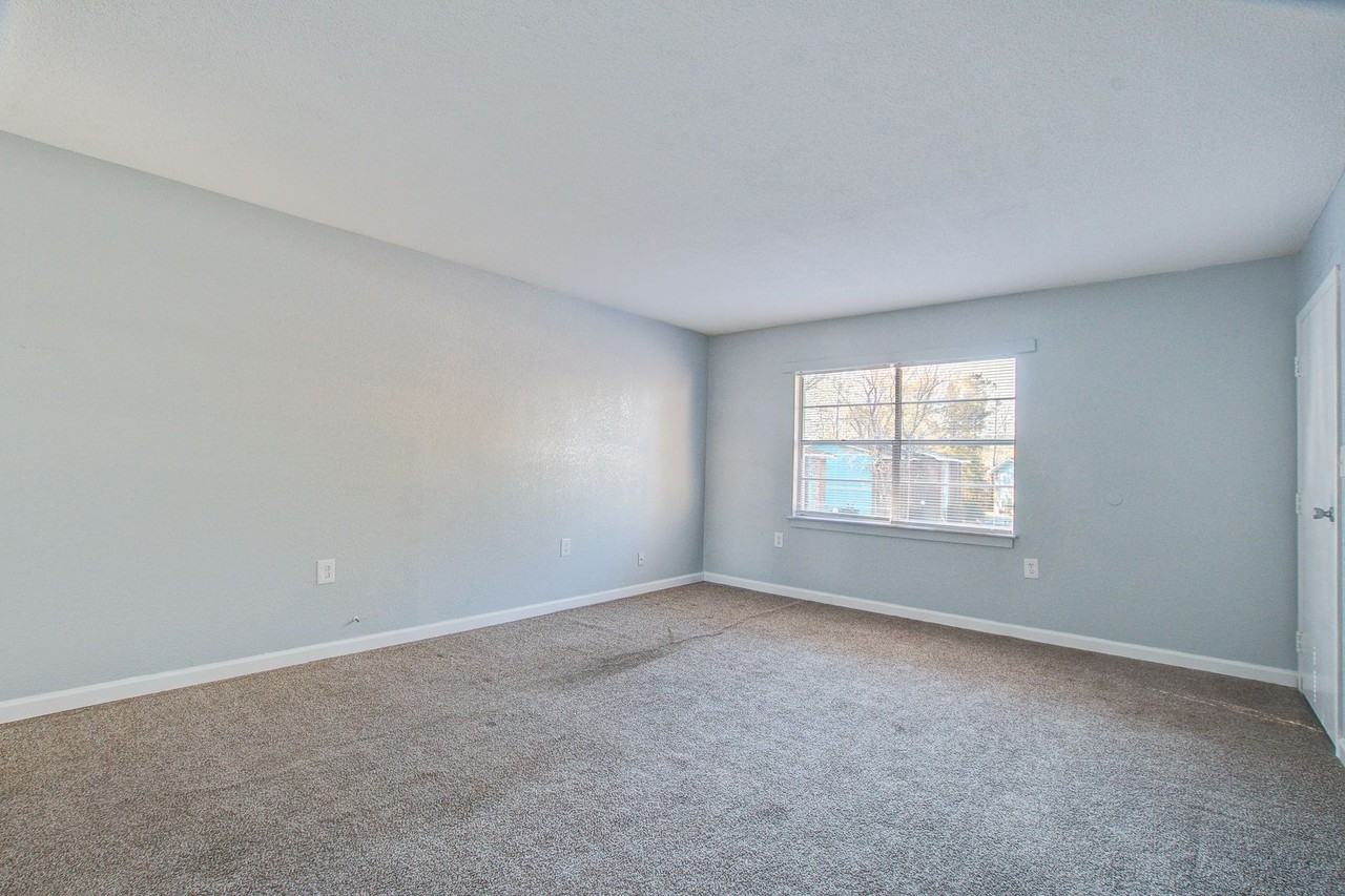 Palmetto Place Apartments - Photo 6 of 17