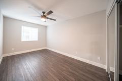 Donax - Photo 1 of 1