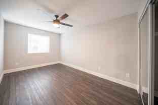 Donax - Photo 1 of 1