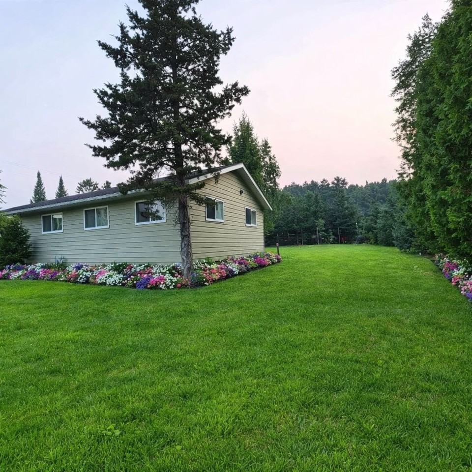 1200 Cedar St - Photo 5 of 50