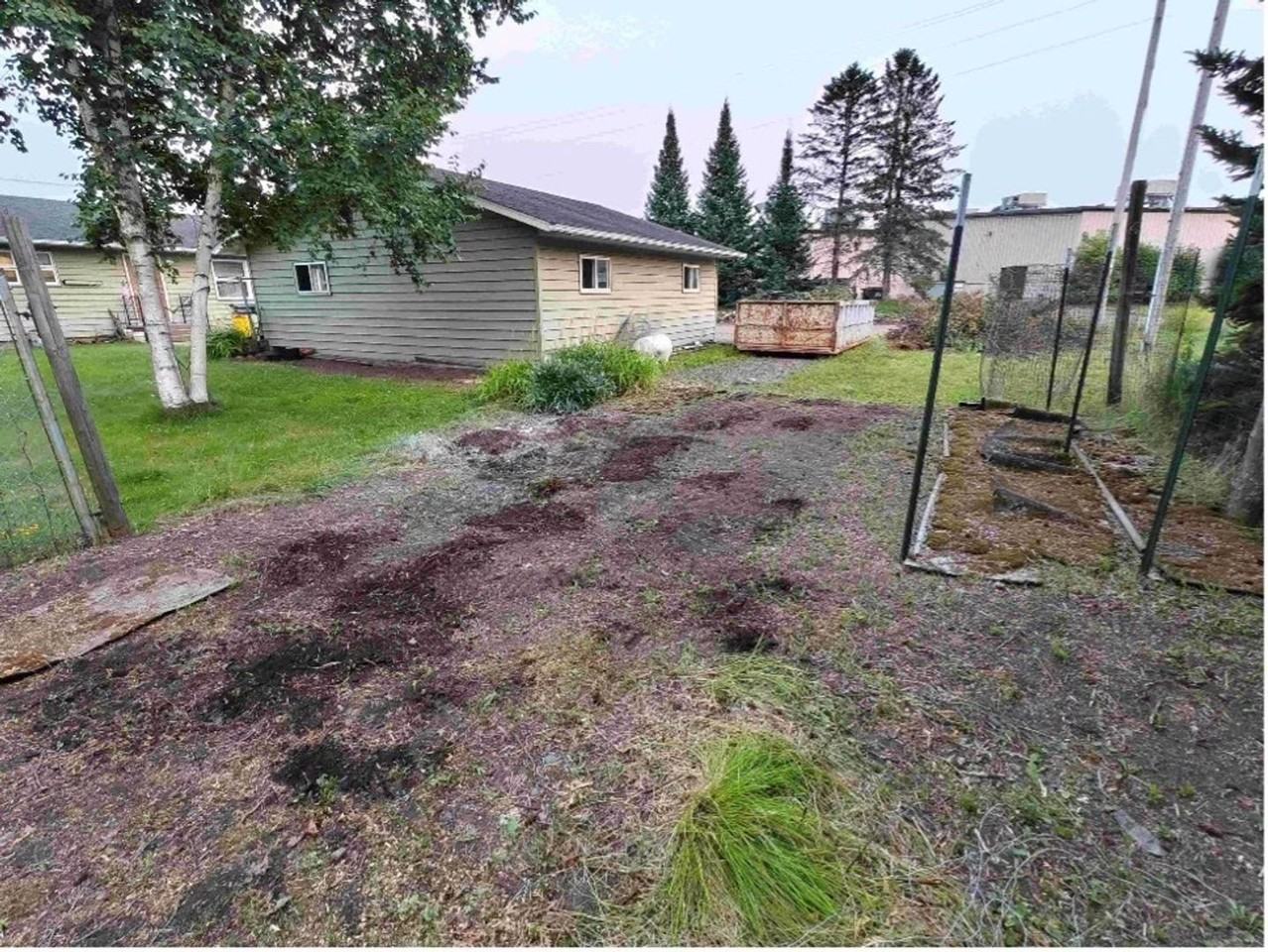 1200 Cedar St - Photo 6 of 50