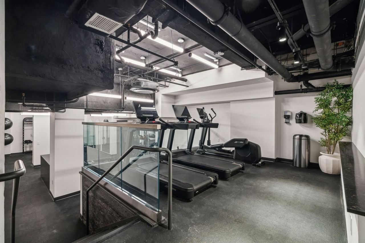 The Muse - Photo 3 of 37