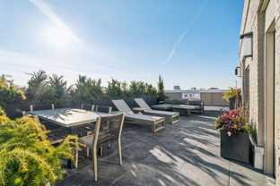 The Muse - Photo 1 of 1