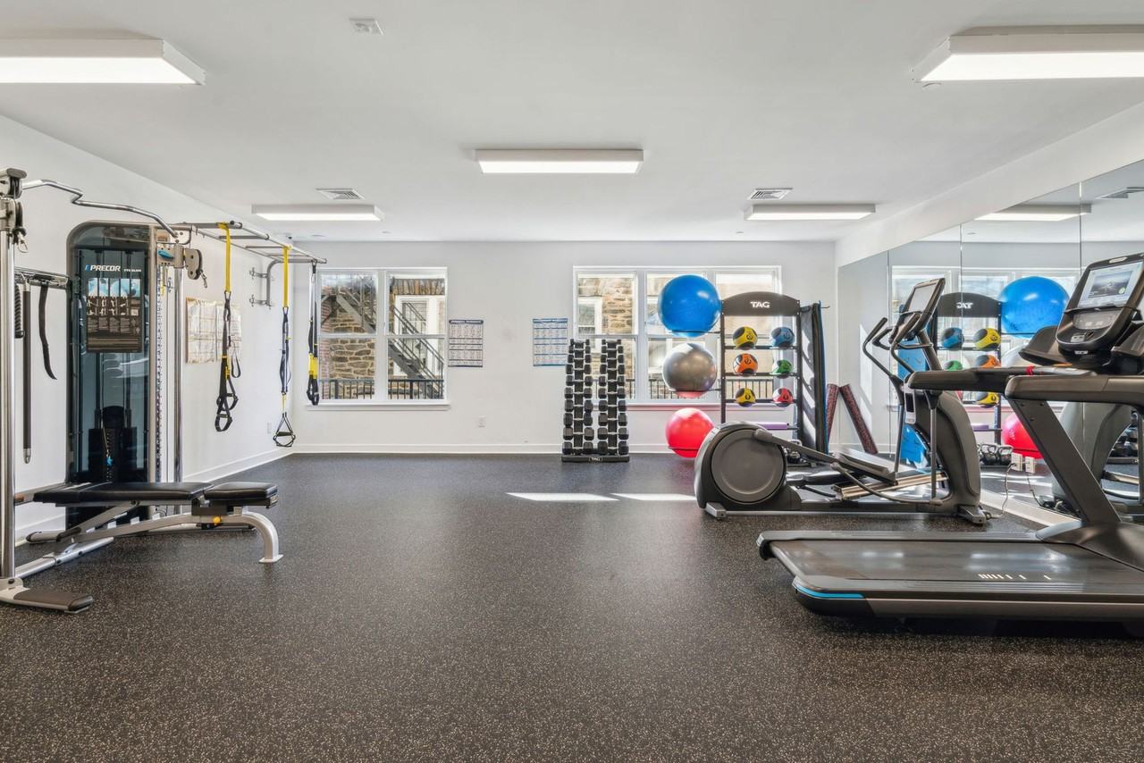 The Elm - Photo 4 of 50