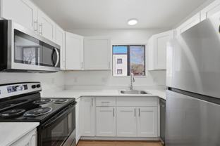 The Vine - Photo 1 of 1