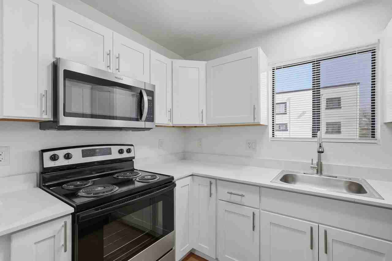 The Vine - Photo 2 of 26