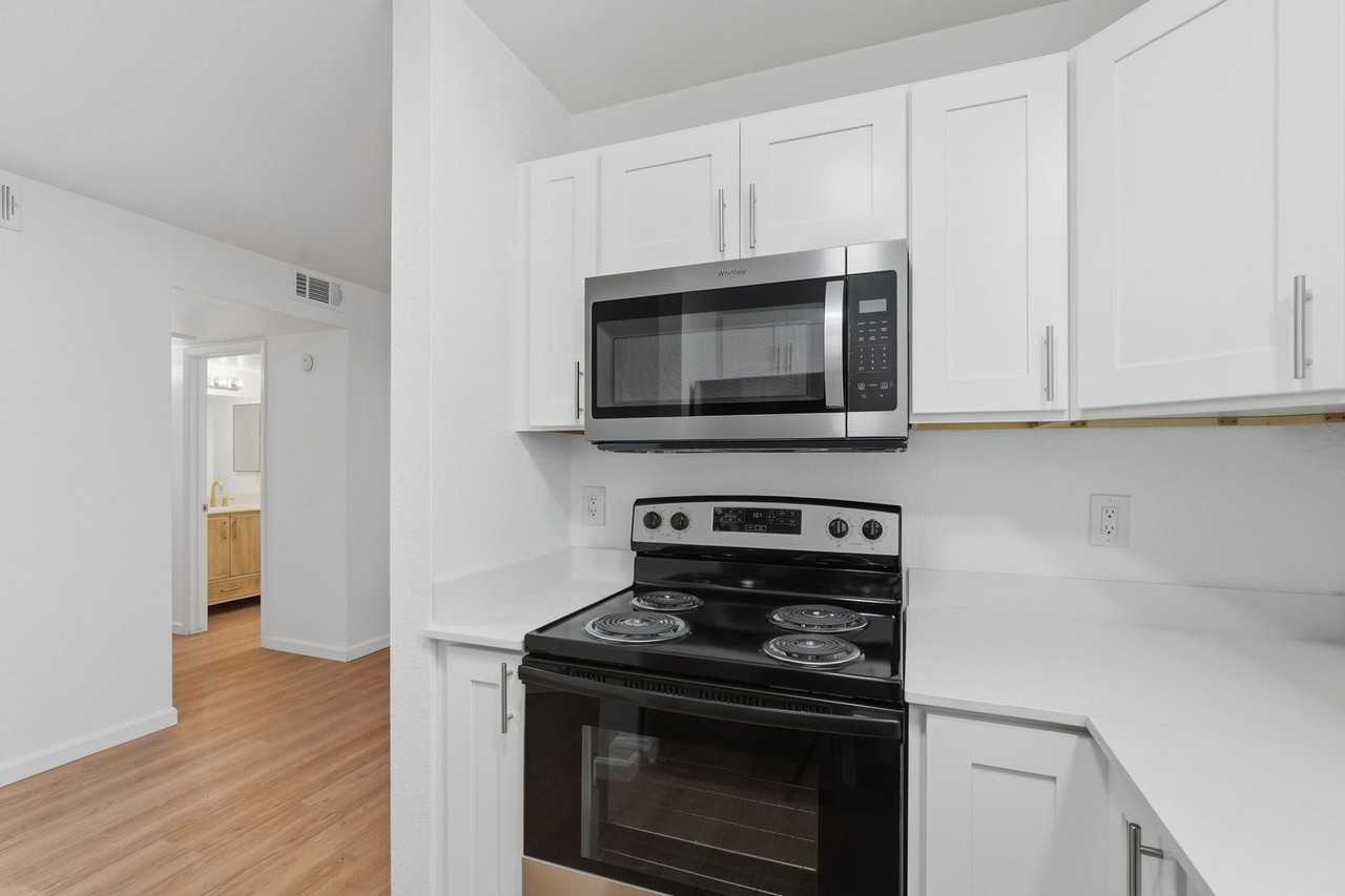 The Vine - Photo 3 of 26