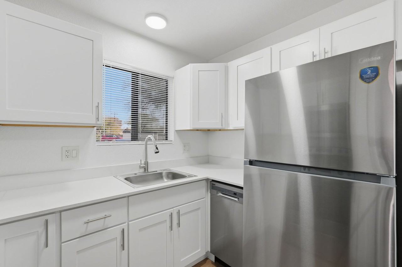 The Vine - Photo 4 of 26