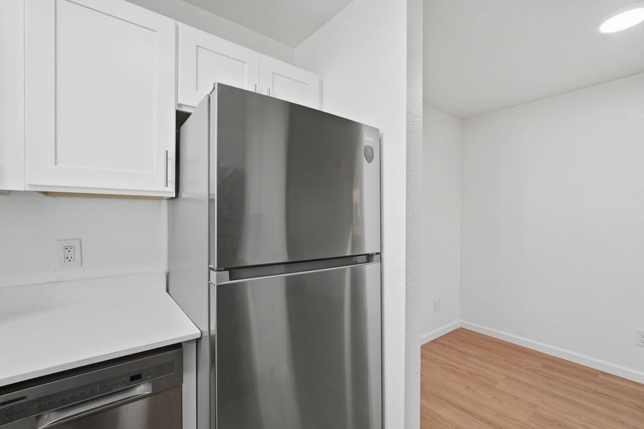 The Vine - Photo 5 of 26