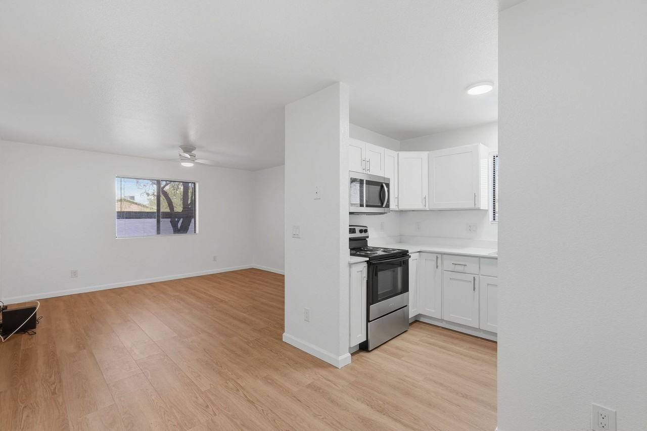 The Vine - Photo 6 of 26