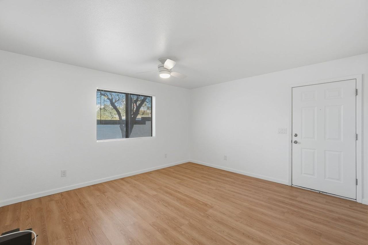 The Vine - Photo 7 of 26