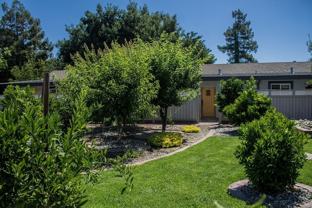 Ponderosa - Photo 1 of 1