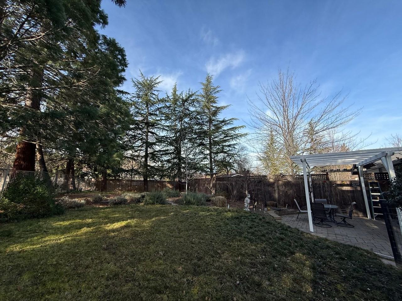 679 Clay St #B - Photo 3 of 37