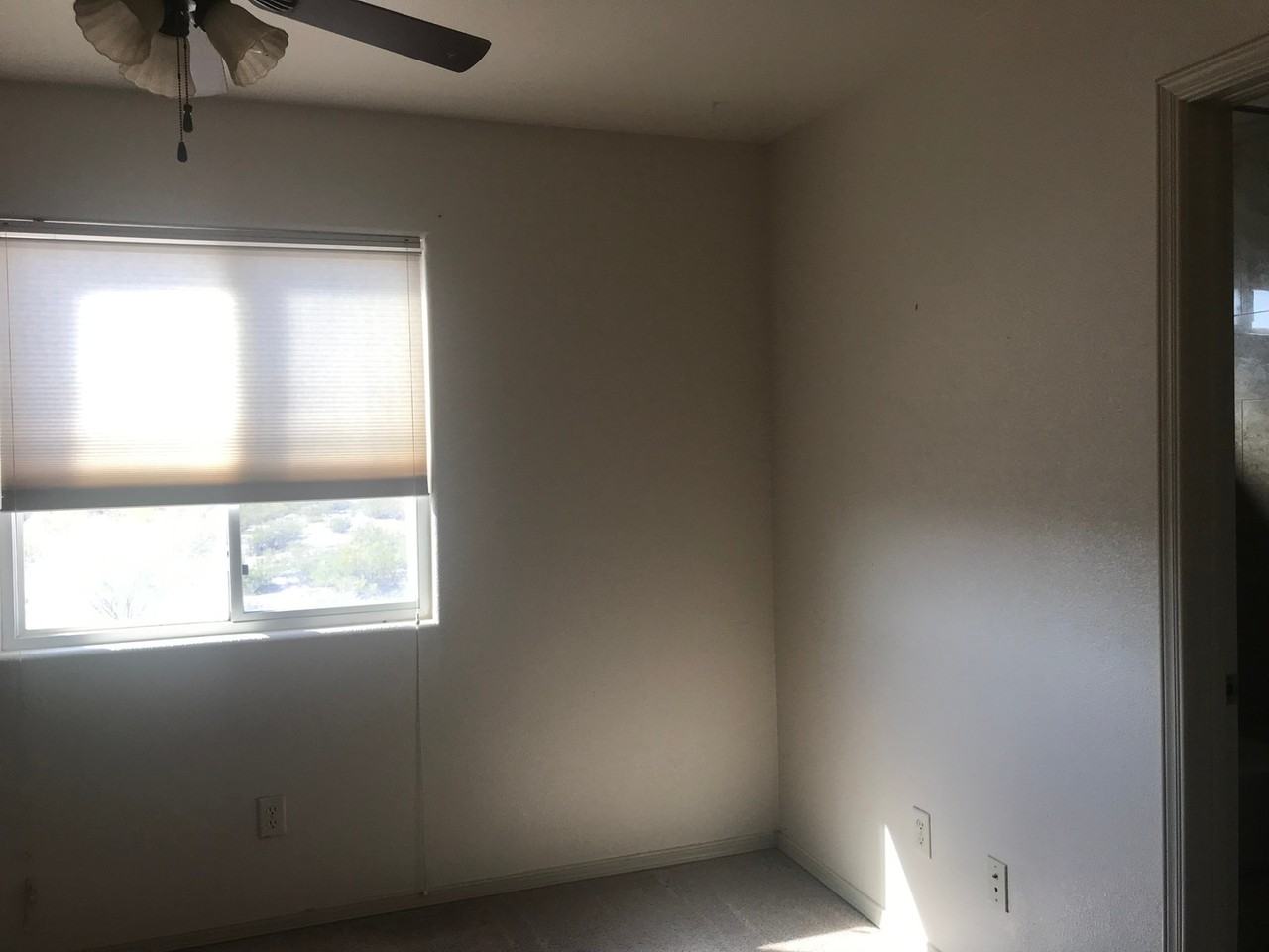 3405 Valverde Loop - Photo 5 of 8