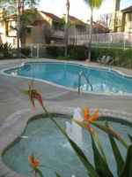 featured image of 13843 Camino Canada