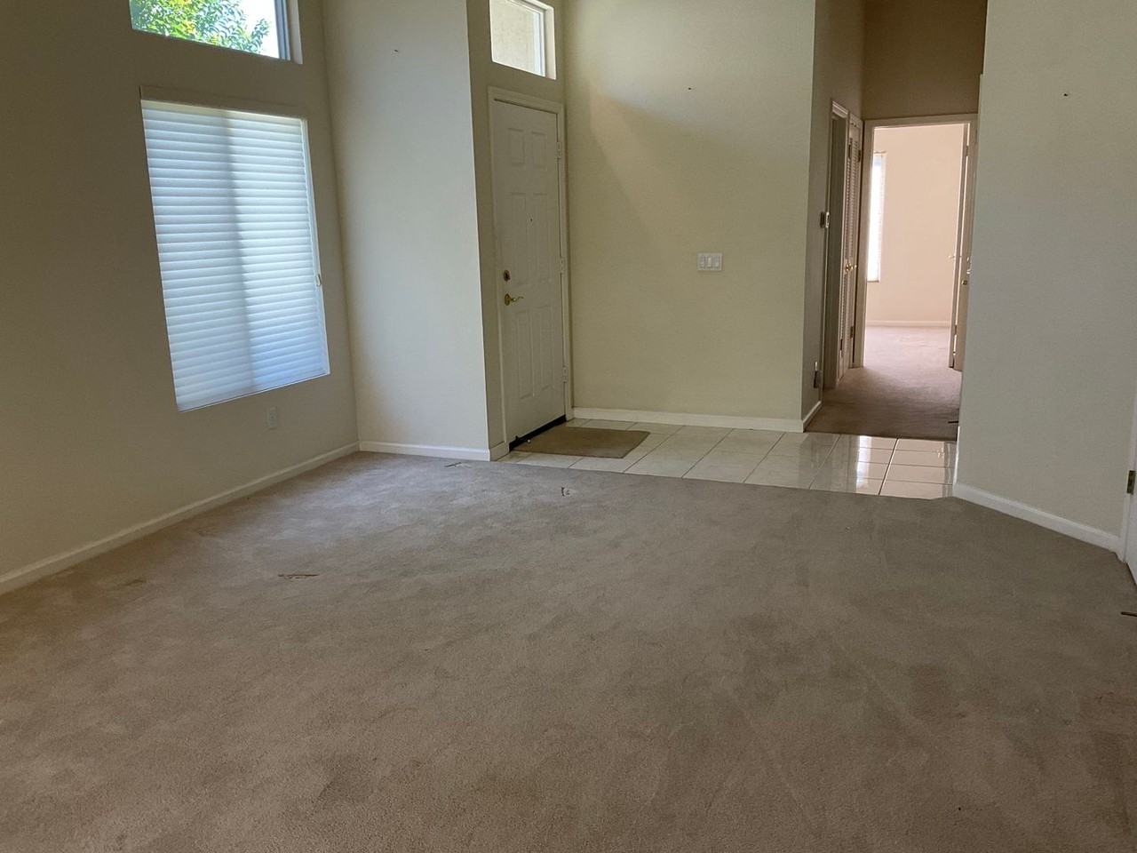 276 Black Amber Way - Photo 2 of 24