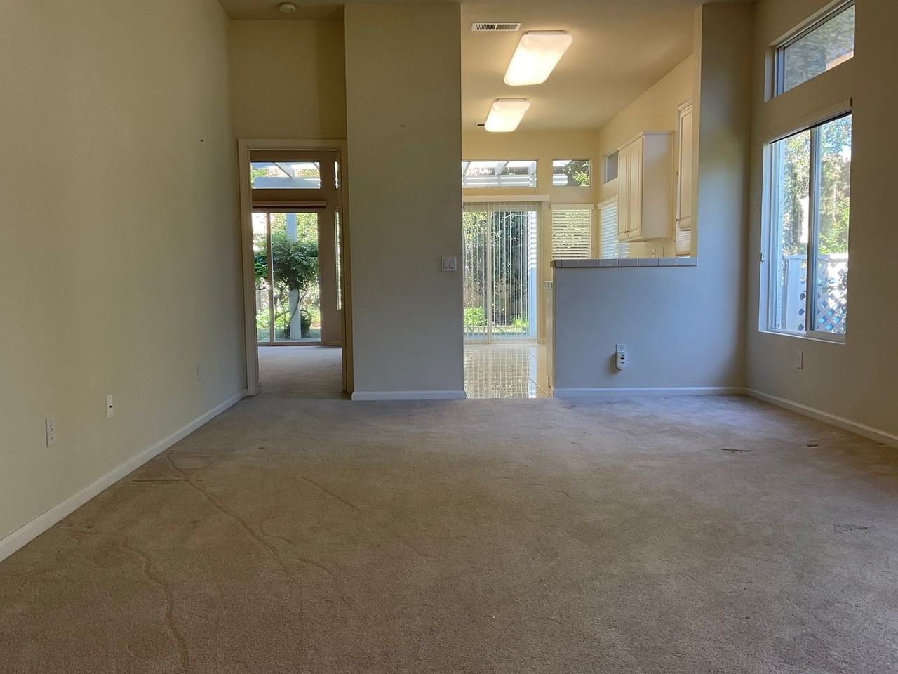 276 Black Amber Way - Photo 3 of 24