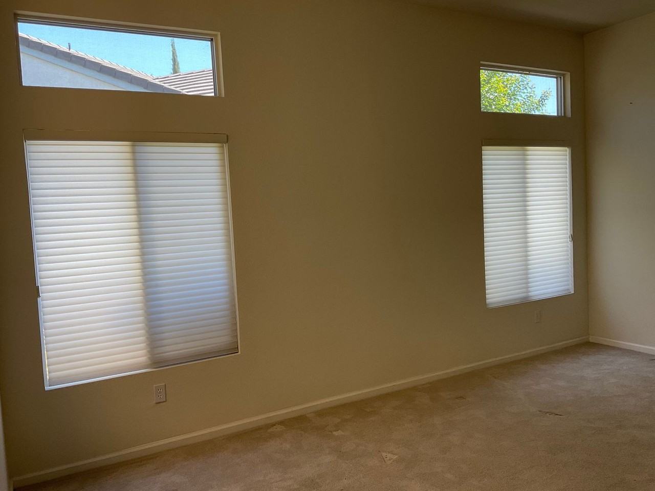 276 Black Amber Way - Photo 4 of 24