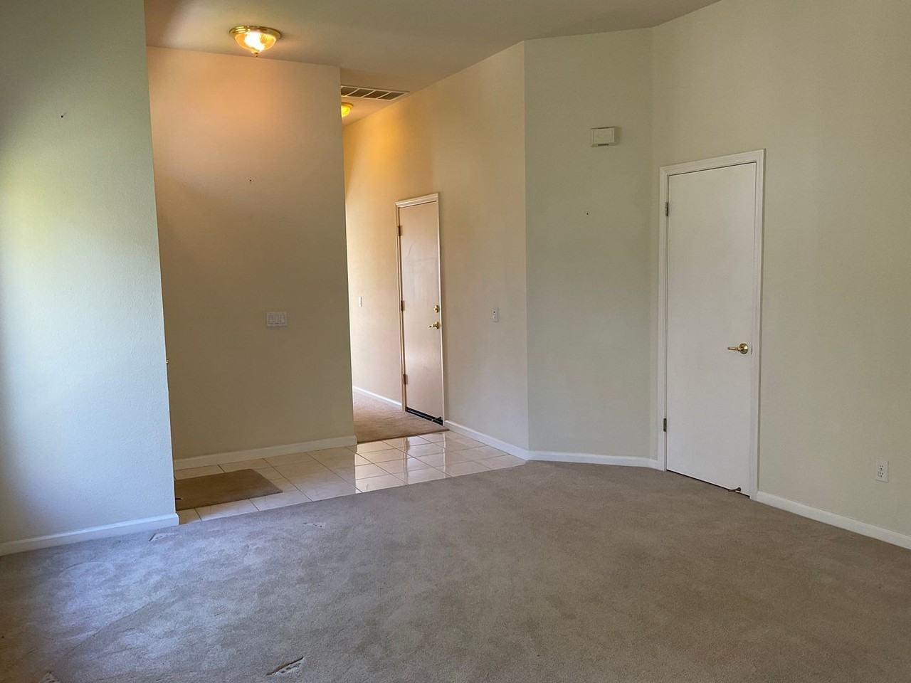 276 Black Amber Way - Photo 6 of 24