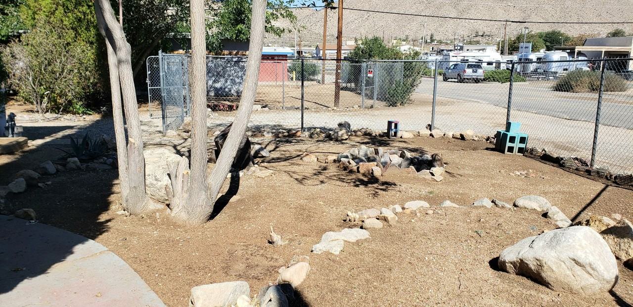 7420 Geronimo Trl - Photo 3 of 16