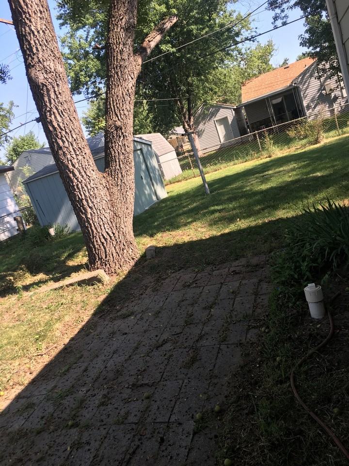 1238 E 31st St S - Photo 2 of 13