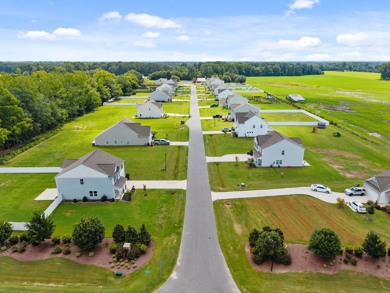 217 Walker Grove Ln - Photo 2 of 49