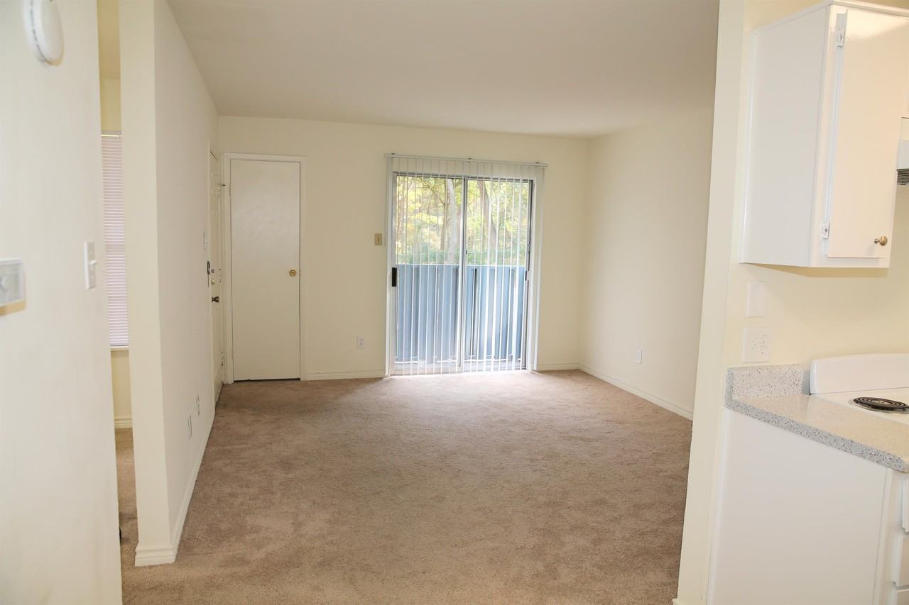 407 Hickory St #1 - Photo 6 of 11