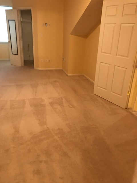 5485 Trumpet Vine Ct - Photo 7 of 20