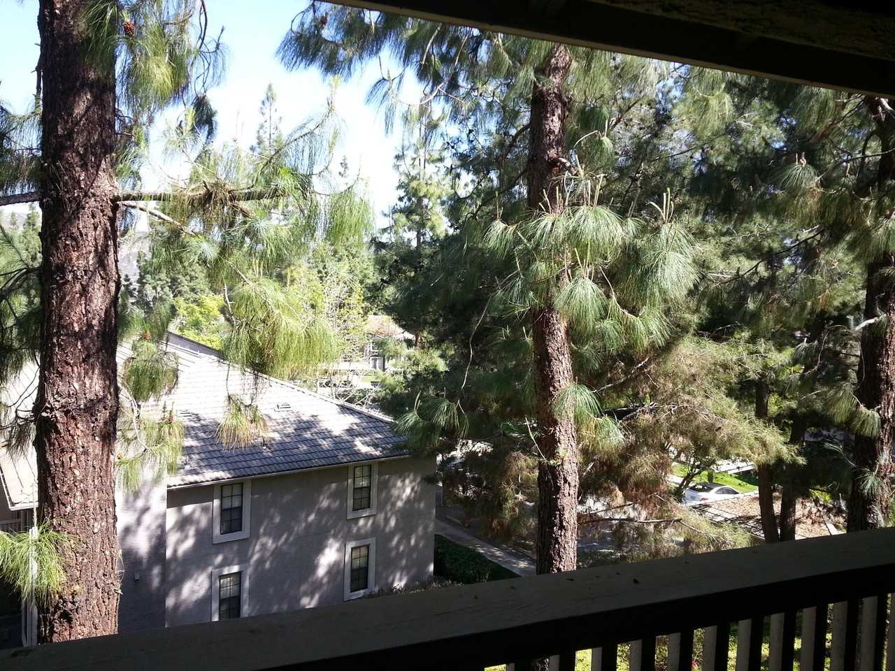 14984 Avenida Venusto #44 - Photo 7 of 8