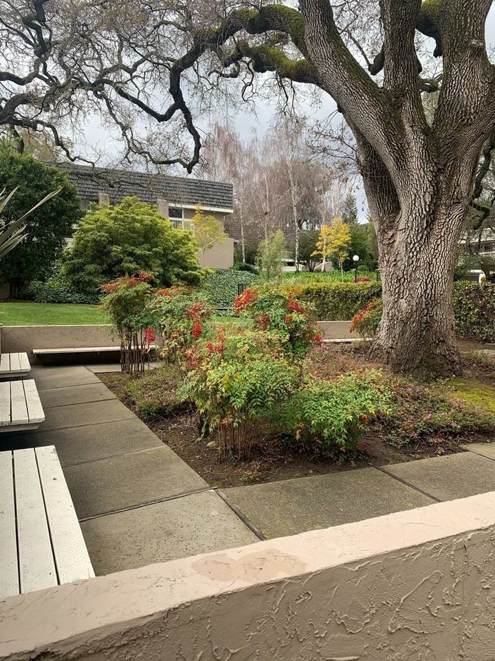 675 Sharon Park Dr #239 - Photo 4 of 24