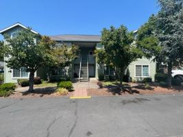 featured image of 3987 Arrowhead Dr