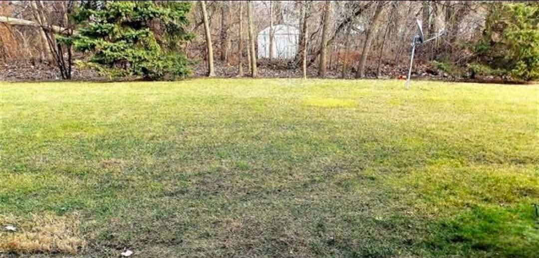 9026 Newport Way - Photo 3 of 22