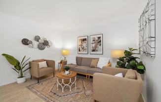 7349 Calle Cristobal #181 - Photo 1 of 1