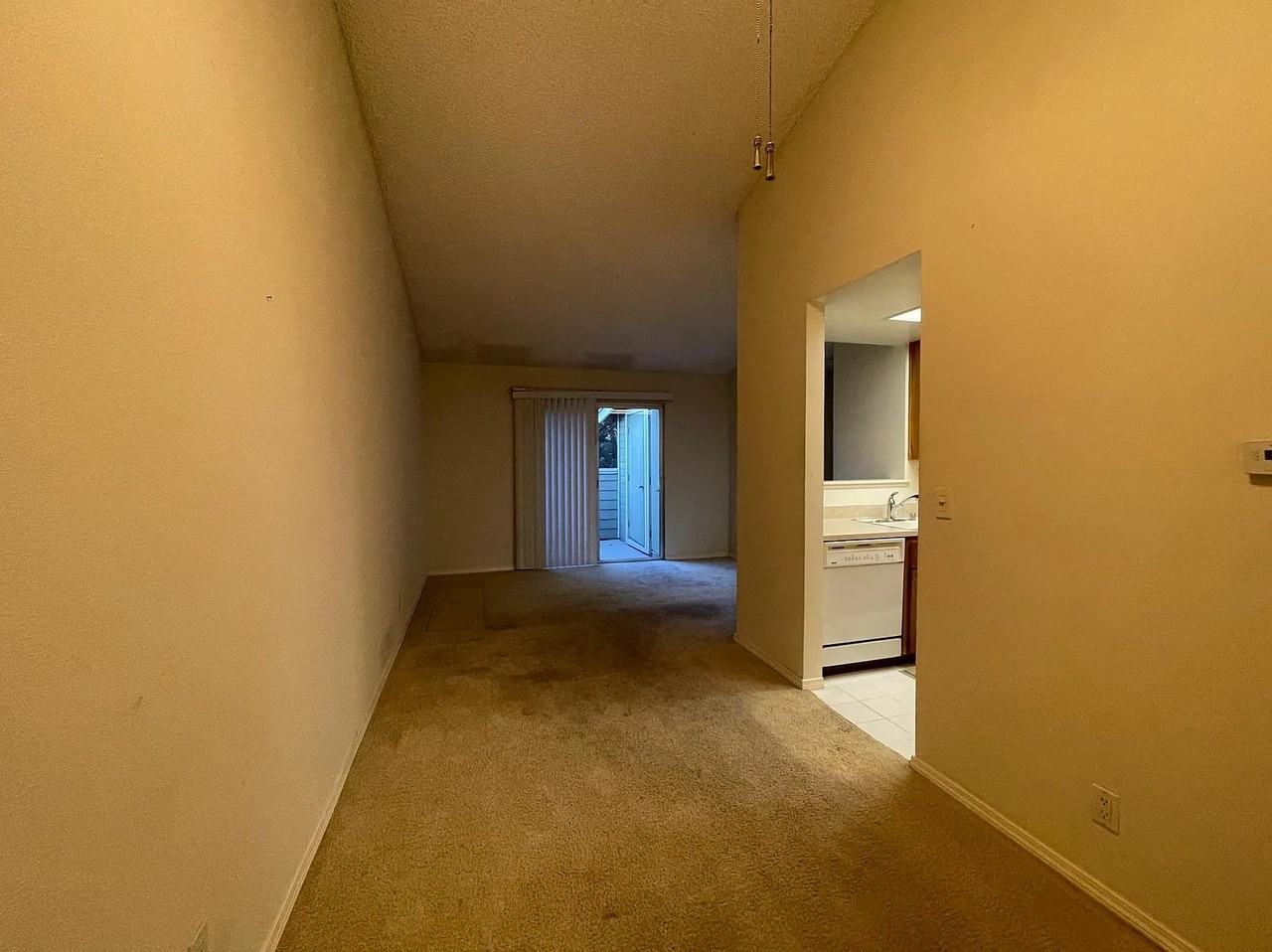 384 Shadow Run Dr #384 - Photo 5 of 9