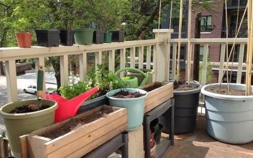 Ofek Shalom - Photo 3 of 4