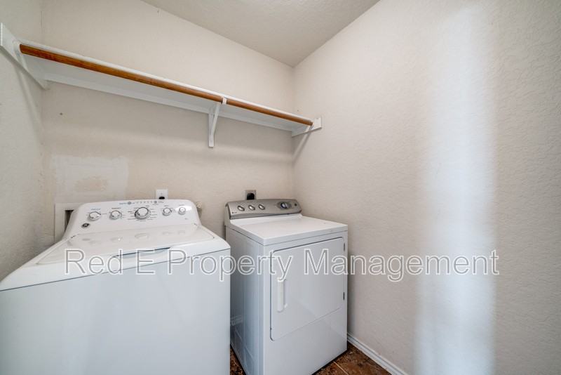 3125 Muntjac - Photo 2 of 25