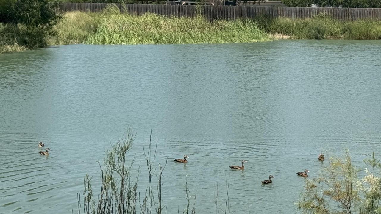 800 Onyx Dr - Photo 6 of 10