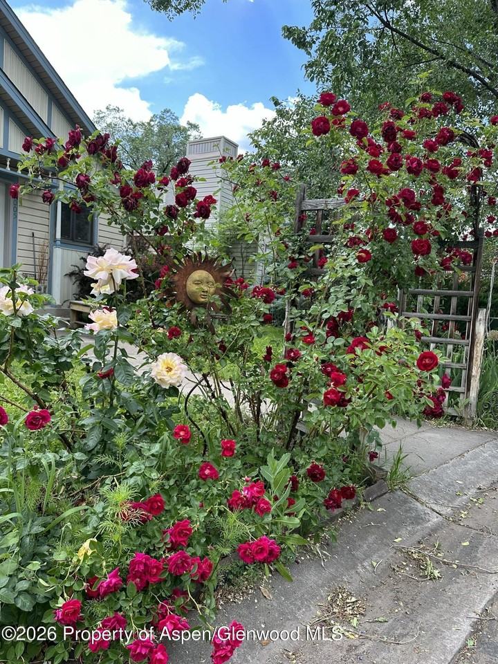 1005 Crown Dr - Photo 3 of 22