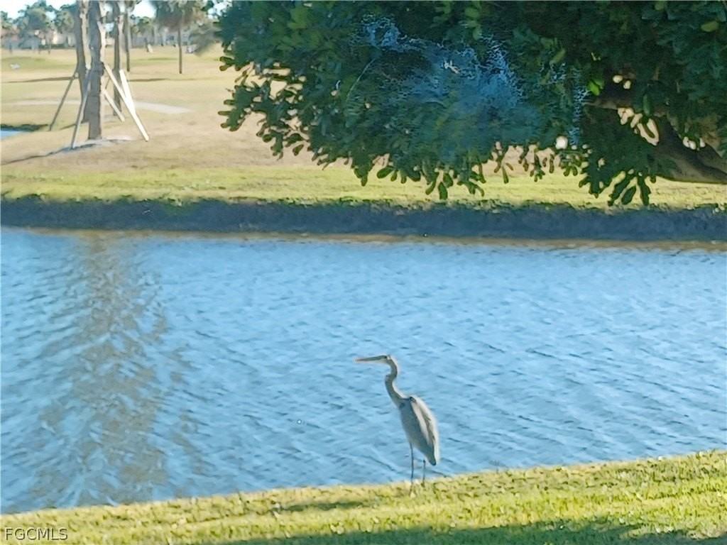 11891 Prince Charles Ct - Photo 3 of 36