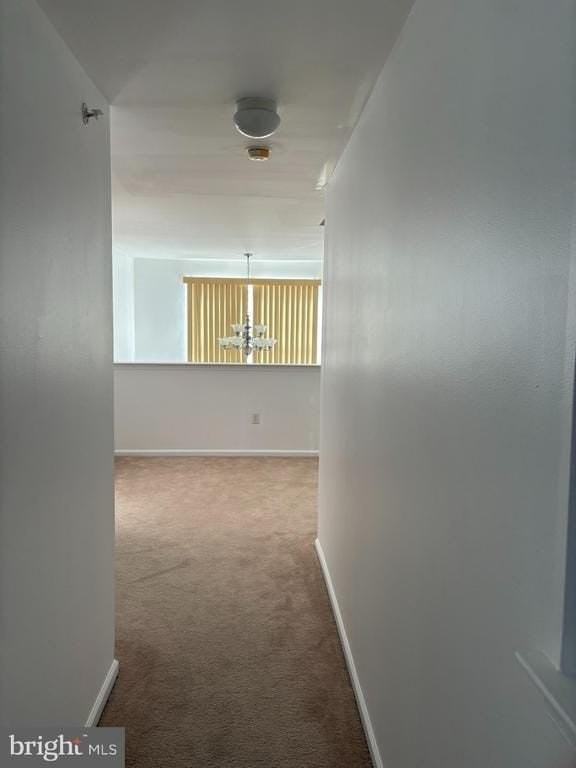 229 Hidden Dr - Photo 7 of 8