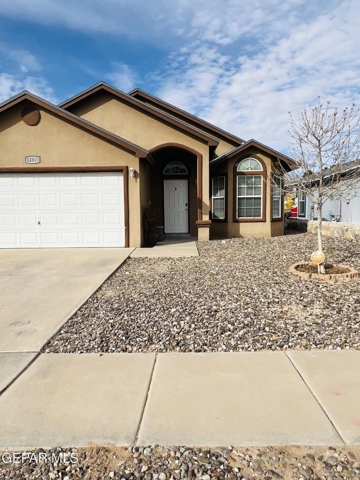 12369 Tierra Apache Dr - Photo 3 of 50