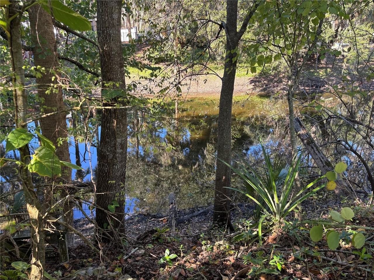 1916 Spring Ave - Photo 2 of 15