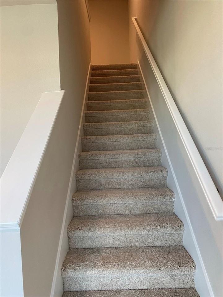 2506 Sweet Viburnum Way - Photo 6 of 18