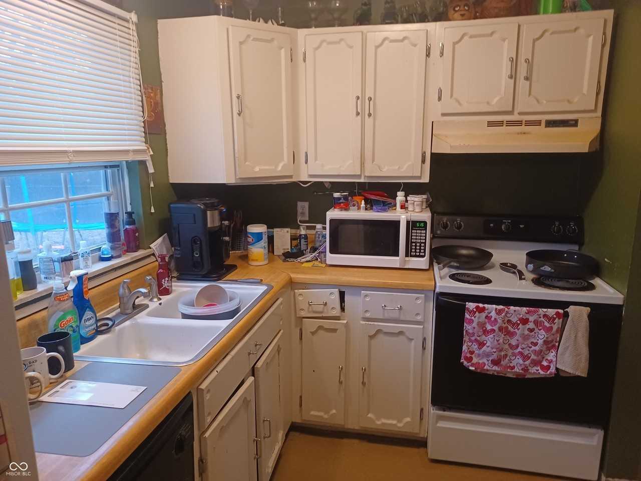 1107 Woodpointe Dr - Photo 5 of 12