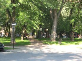 Rue Marc Sauvalle & Rue de Champigny - Photo 1 of 1