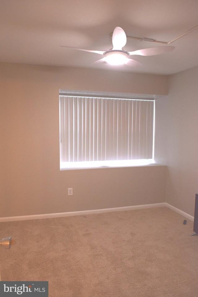 19 Juliet Ln Apt 201 #201 - Photo 5 of 10