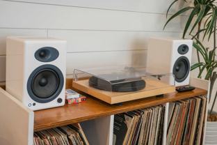 559 Veritas St - Photo 1 of 1