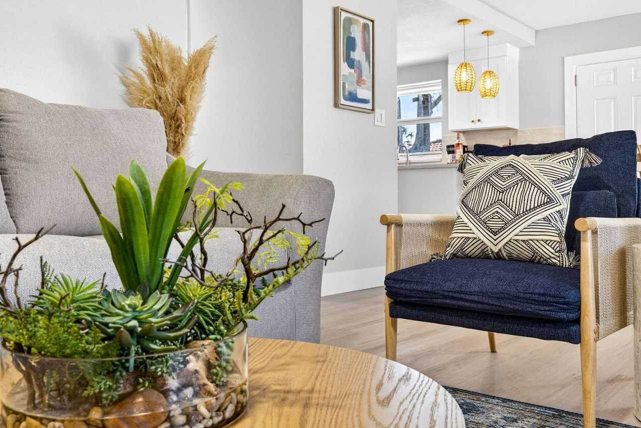 153 Vista Hermosa Cir #1462580P - Photo 5 of 38