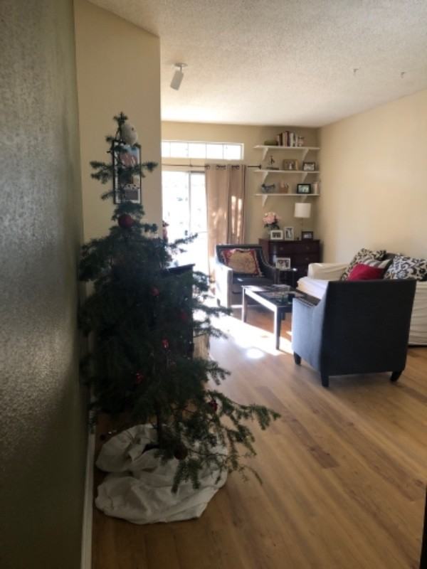 7410 Singing Hills Dr - Photo 2 of 11