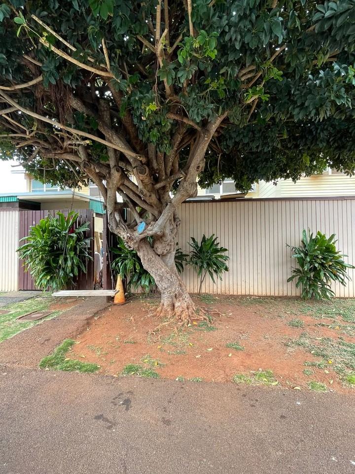 85-124 Ala Walua St - Photo 2 of 12